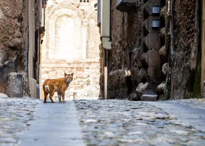 Bed & Breakfast Pastis - Boutique By Kalavria Holidays Tropea